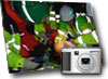 Training Gallery